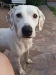 Nina