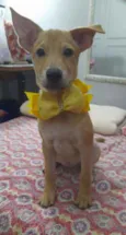 Juliete