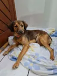 Esperança de ter