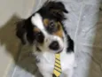 Bob 