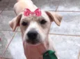 Vitória 