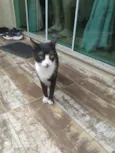 Rubi