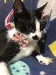 Frida