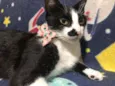 Frida