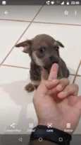 Sem nome ainda