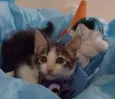 Lucky
