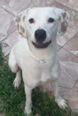 Nina