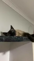 Babalu