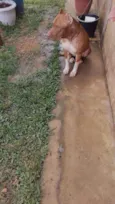 Bradook