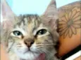 Siindy