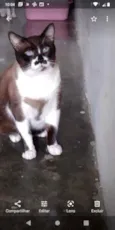 Tom