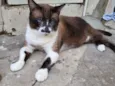 Tom