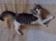 Lucky