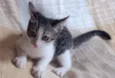 Lucky