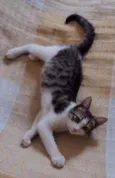Lucky