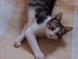Lucky