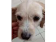 Peppa