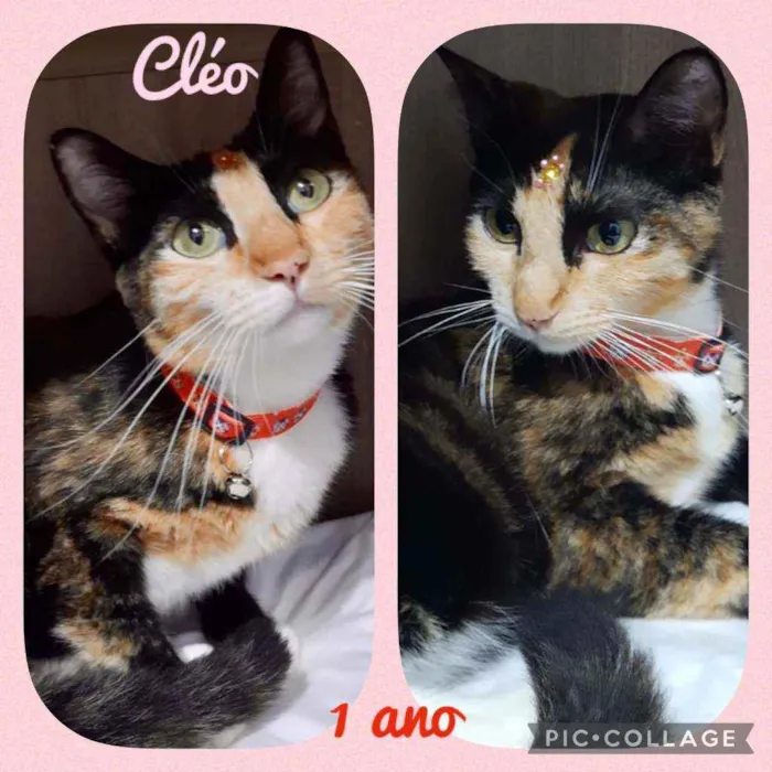 Cléo 