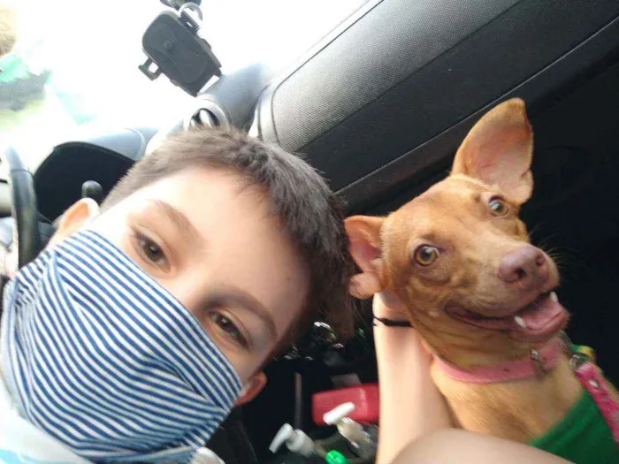 Cachorro raça Vira lata  idade 1 ano nome Mel