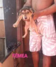 Bya