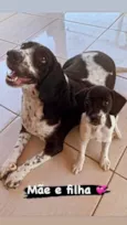Filhos da Annita