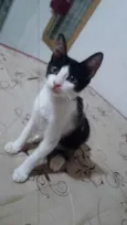Nina