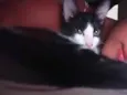 Nina