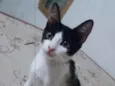 Nina
