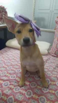 Juliette