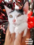 Luly