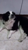 Nina 