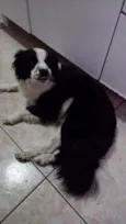 Nina 