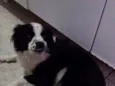 Nina 
