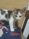Frederico
