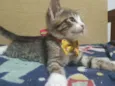 Carlitos 