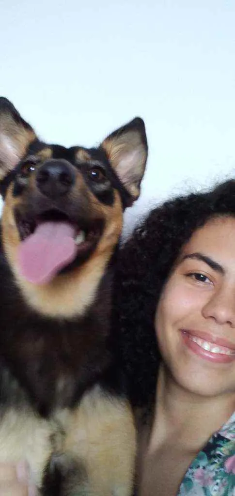 Cachorro ra a srd idade 1 ano nome Moana