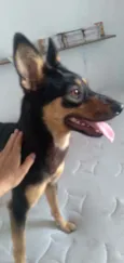 Moana
