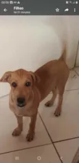 Aquiles