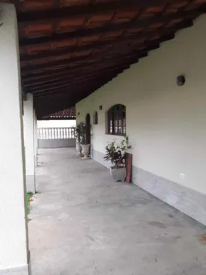 Cachorro raça Beagle  idade 5 anos nome Abel 