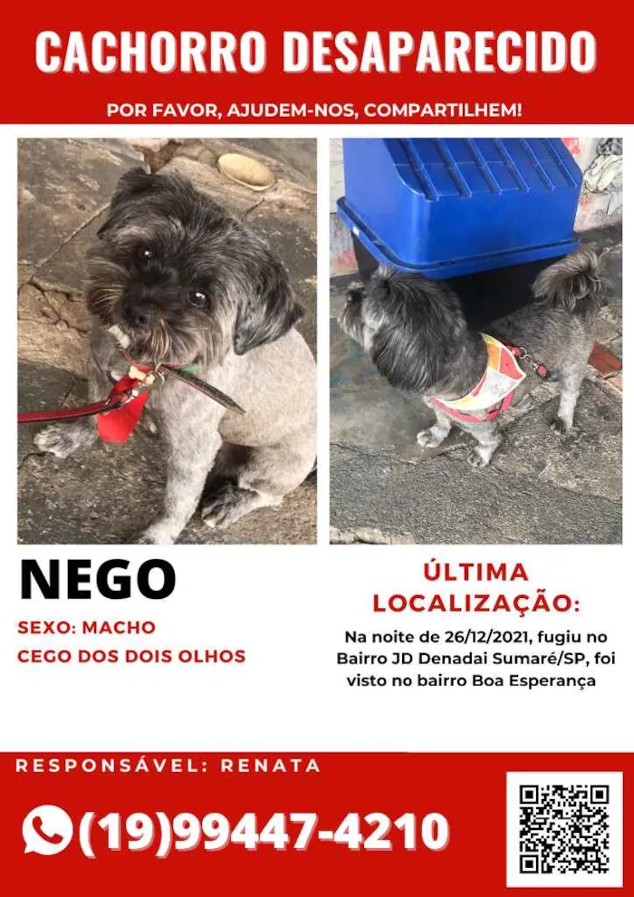 Cachorro ra a Shih Tzu idade 6 ou mais anos nome Nego