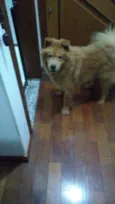 Flip