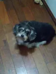 Lila