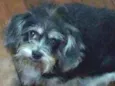 Lila