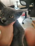 .