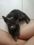 .