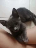 .