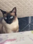Don