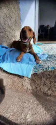 Ze 