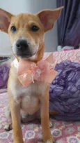 Juliette
