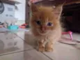 Floquinho,amora,sol